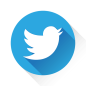 twitter icon